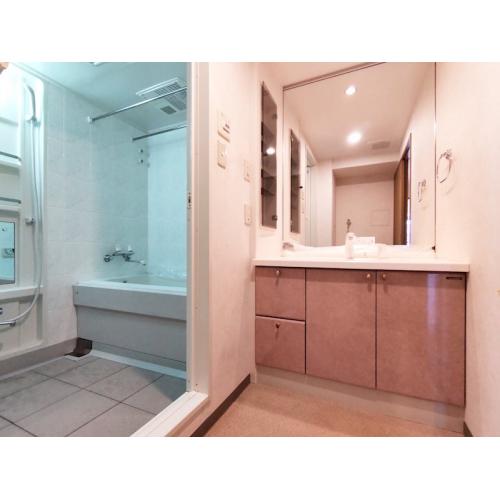 大きな鏡が特徴の洗面化粧台です。シャワー水栓式で、下部の収納スペースも豊富です。