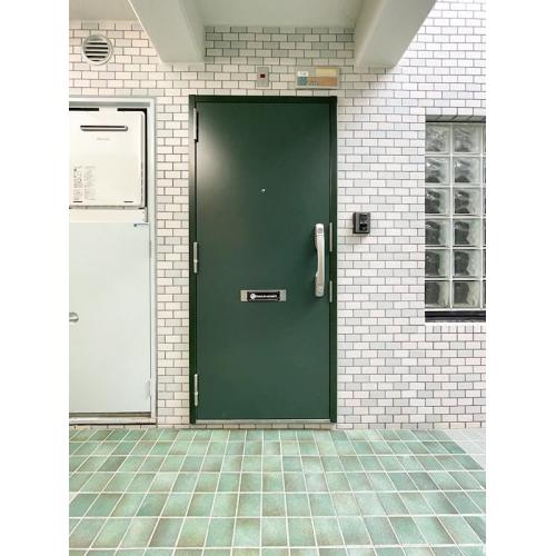 数年前に玄関扉は全戸交換さえておりプッシュ式で使いやすい扉になっています。