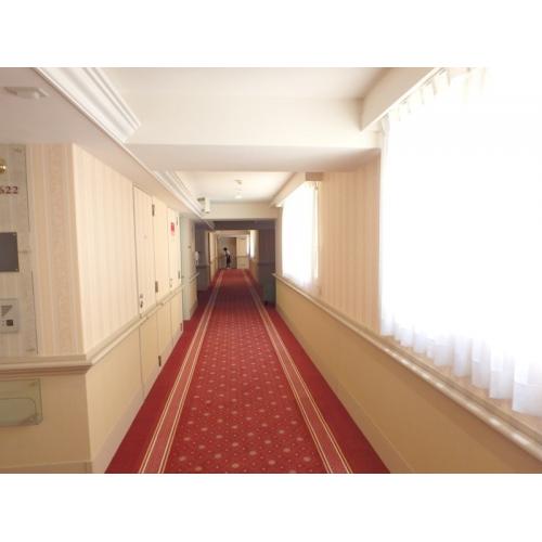 絨毯が敷詰められた共用廊下